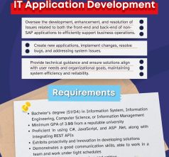 IT Application Development Staff